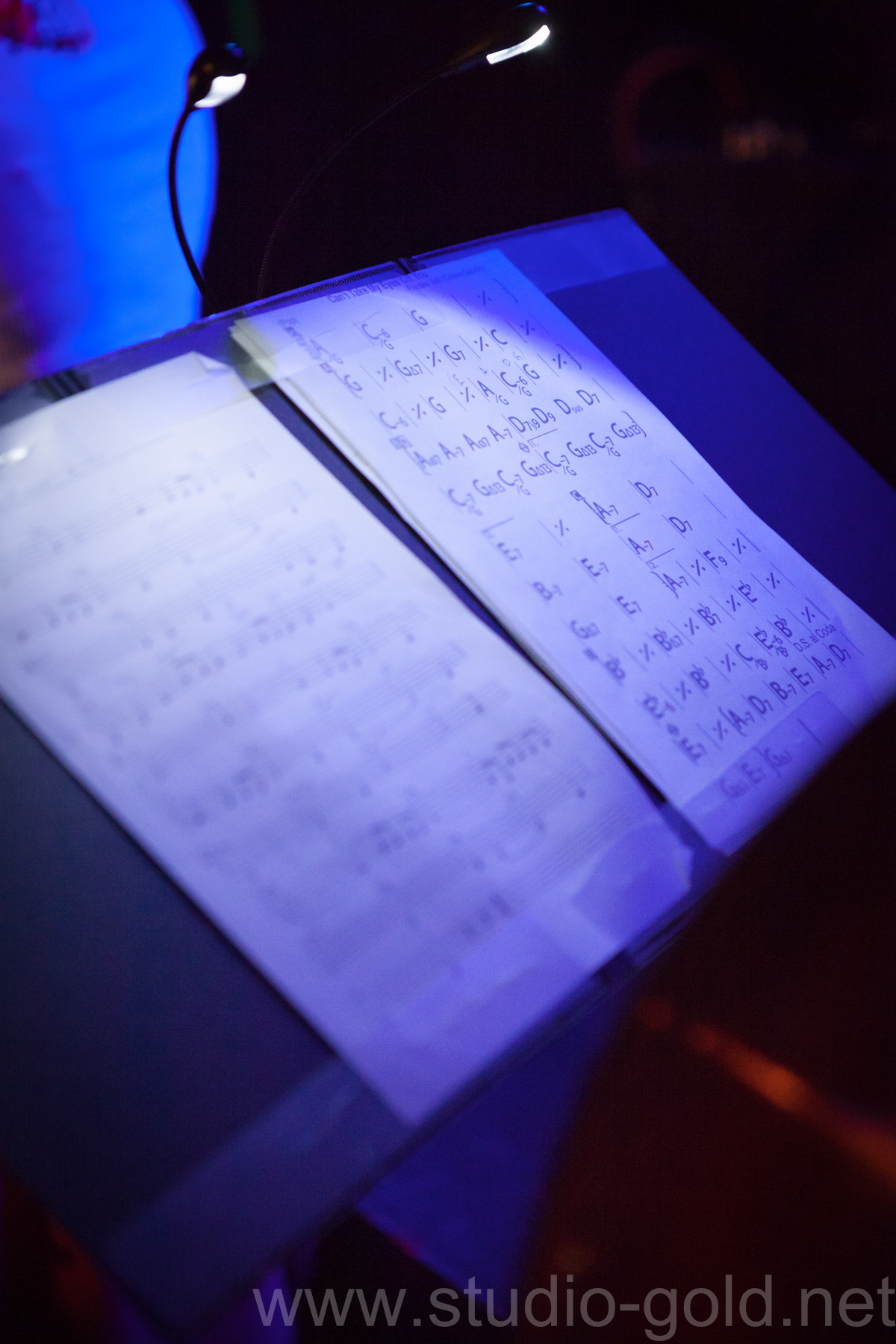 イベント撮影,写真撮影,カメラマン,神戸,写真屋,金本義隆,RSP